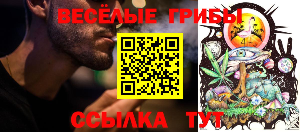 Галлюциногенные грибы ЛСД Тайшет