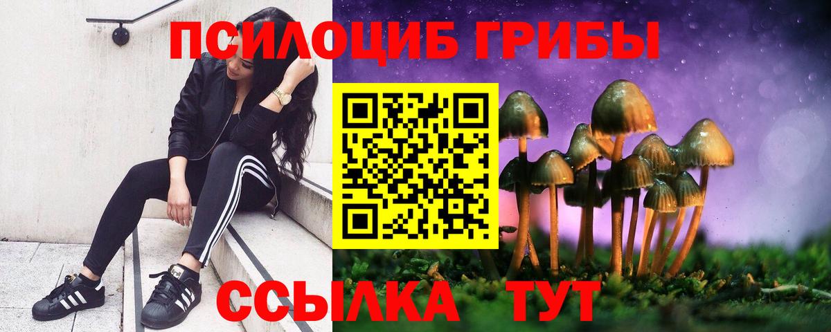 Тайшет  Псилоцибиновые грибы Cubensis  Вход с VPN  Галлюциногенные грибы Psilocybe 