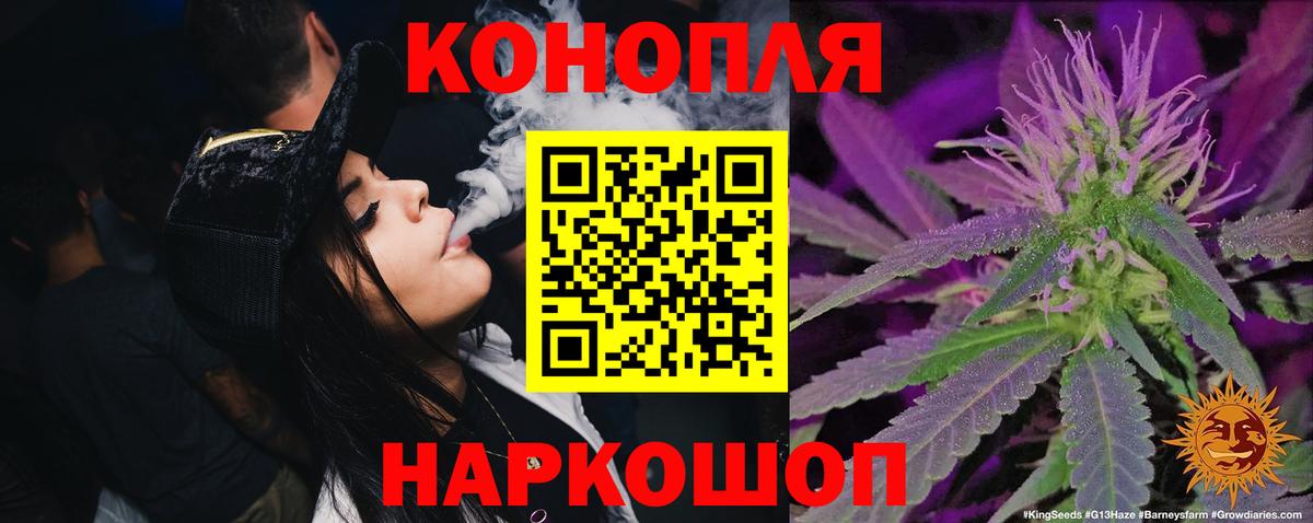 Марихуана OG Kush Тайшет